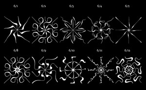 Ten radial patterns, each with a date listed above it, weekdays from June first to June twelvth